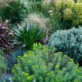 Coast & Cultivate Event Calendar